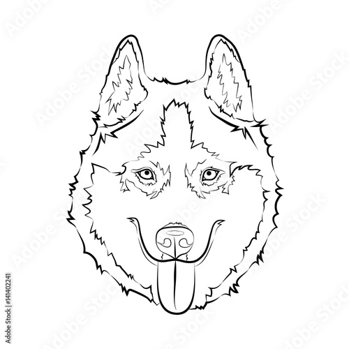 Sketch of Siberian husky. Hand drawn portrait of dog. Vector illustration