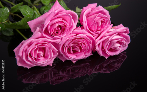 Pink roses isolated on black background. Mother s  Valentines  Women s  Wedding Day. Top view with copy space.  Place for text