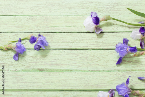 iris on blue wooden background