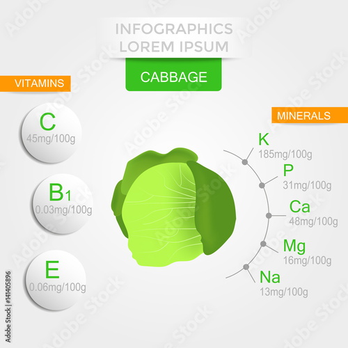 Healthy vegetables infographics with cabbage, vitamins and minerals. Quality vector illustration about diet, eco food, benefits of vegan and nutrition concept.
