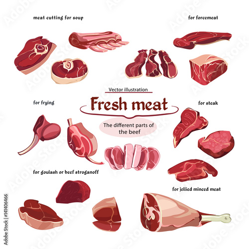 Sketch Cutting Beef Meat Parts Collection