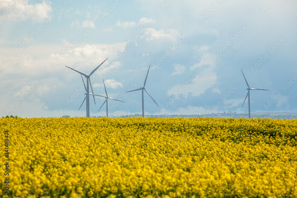 Wind energy turbines on yellow rape field Wind energy turbines on yellow rape field