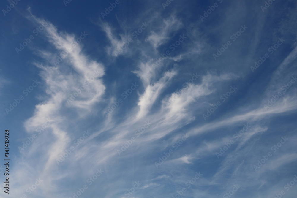 Fototapeta premium Light Blue Sky