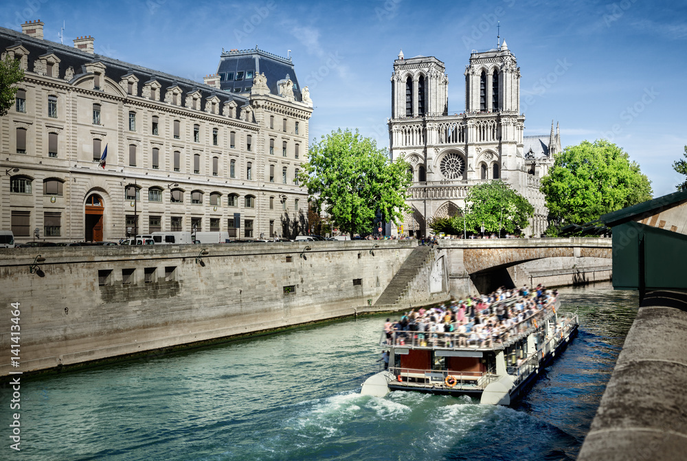 Fototapeta premium Notre dame de Paris