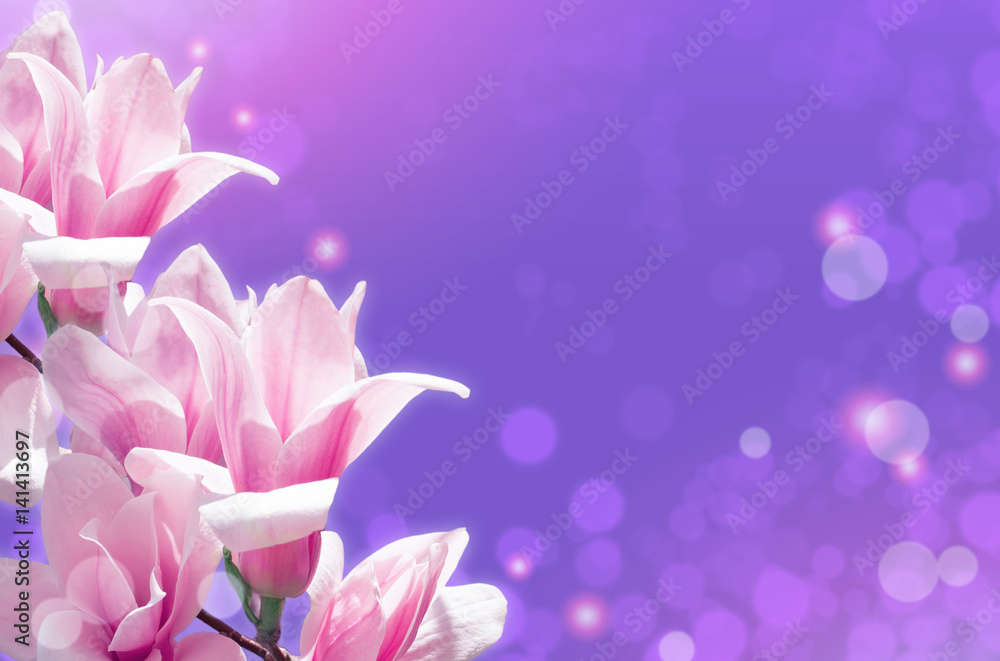 Magnolia flowers on glowing abstract background