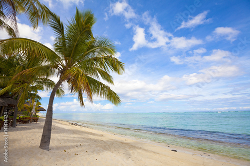 Fototapeta Naklejka Na Ścianę i Meble -  Coconut palm trees at the luxurious five stars holiday resort on tropical paradise island