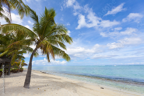 Fototapeta Naklejka Na Ścianę i Meble -  Coconut palm trees at the luxurious five stars holiday resort on tropical paradise island