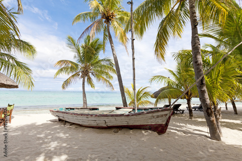 Old wooden fishing boat on a tropical paradise island with coconut palm trees in the background