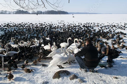 Obraz zima na Pojezierzu Drawskim