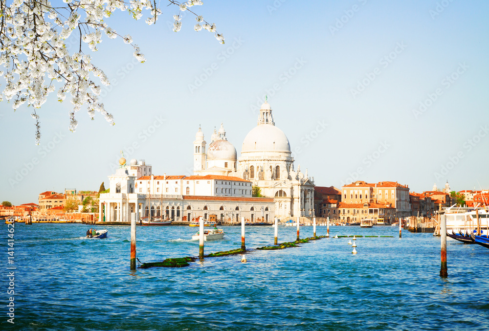 Basilica Santa Maria della Salute over Grand canal water at sunny spring day, Venice, Italy