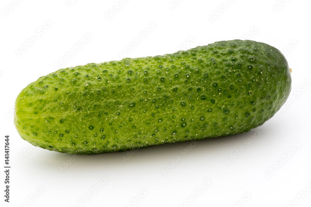 The first spring ecologically cucumbers. The first spring ecologically cucumbers.