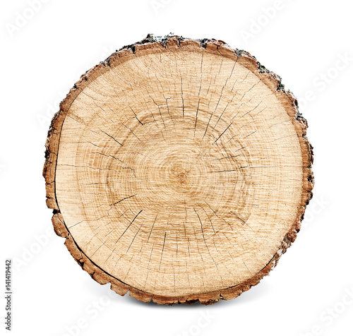 Với nét tuyệt vời của một mảnh gỗ, đốn tàn gỗ đem lại vẻ đẹp tự nhiên và thuần khiết cho bất kỳ không gian nào. Hãy khám phá hình ảnh liên quan để cảm nhận sự gắn kết của gỗ với thiên nhiên.