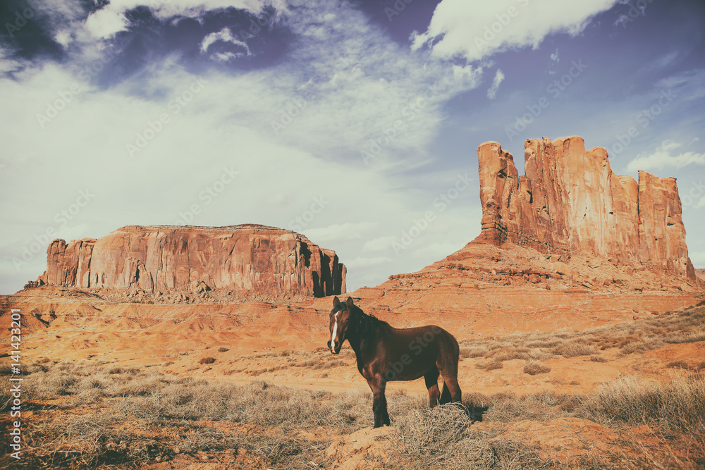 brown horse standing still in the middle of the monument valley on a sunny day, in the background mountains of rocks and a blue sky - Usa - Arizona