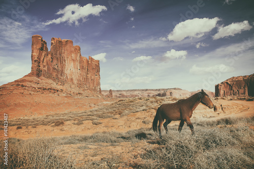 brown horse is running at the monument valley on a sunny day, in the background mountains of rocks and a blue sky  - Usa - Arizona
