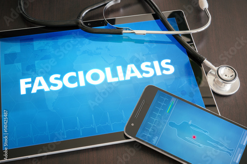 Fascioliasis (liver disease) diagnosis medical concept on tablet screen with stethoscope photo