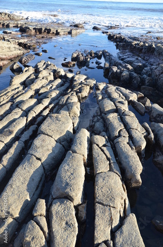 Pacif Ocean Tide Pool