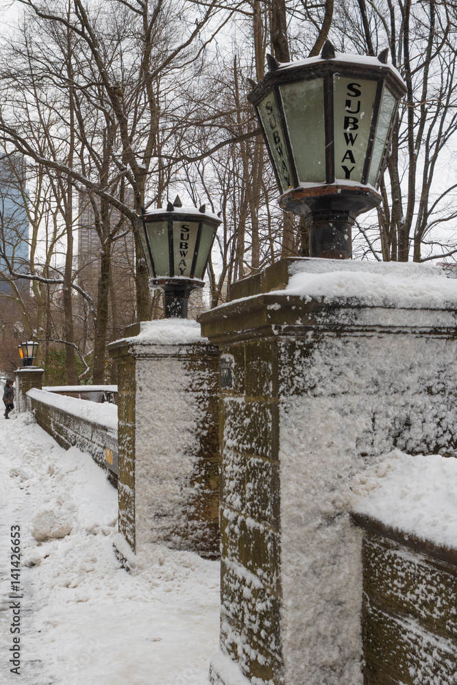 Blizzard in Central Park. Subway station in Manhattan