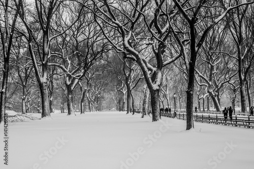Blizzard in Central Park. Manhattan