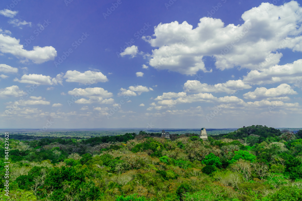 Obraz premium panoram of Maya pyramid in the rain forest of Tikal in Guatemala