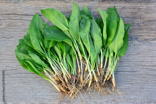 Fotografi Big bunch of fresh ramsons