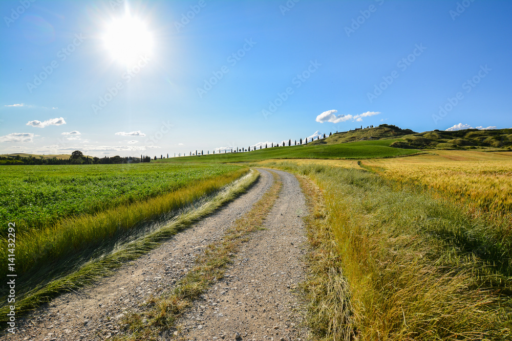 scenic views of the hills of Siena in Tuscany Italy, in spring