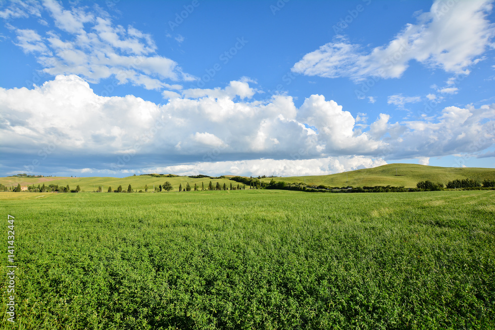 scenic views of the hills of Siena in Tuscany Italy, in spring scenic views of the hills of Siena in Tuscany Italy, in spring