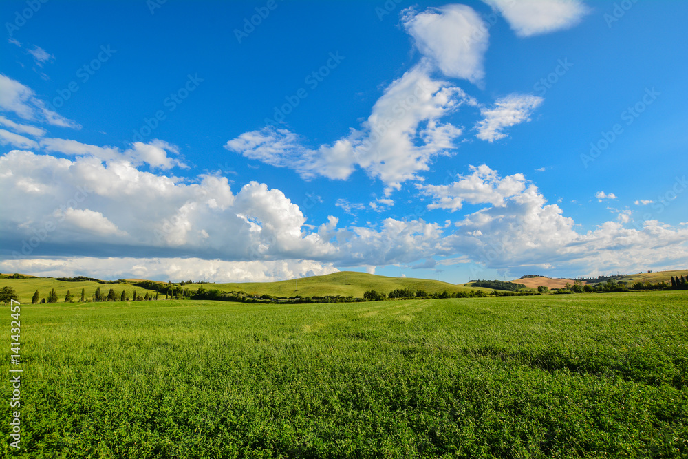 Fototapeta premium scenic views of the hills of Siena in Tuscany Italy, in spring
