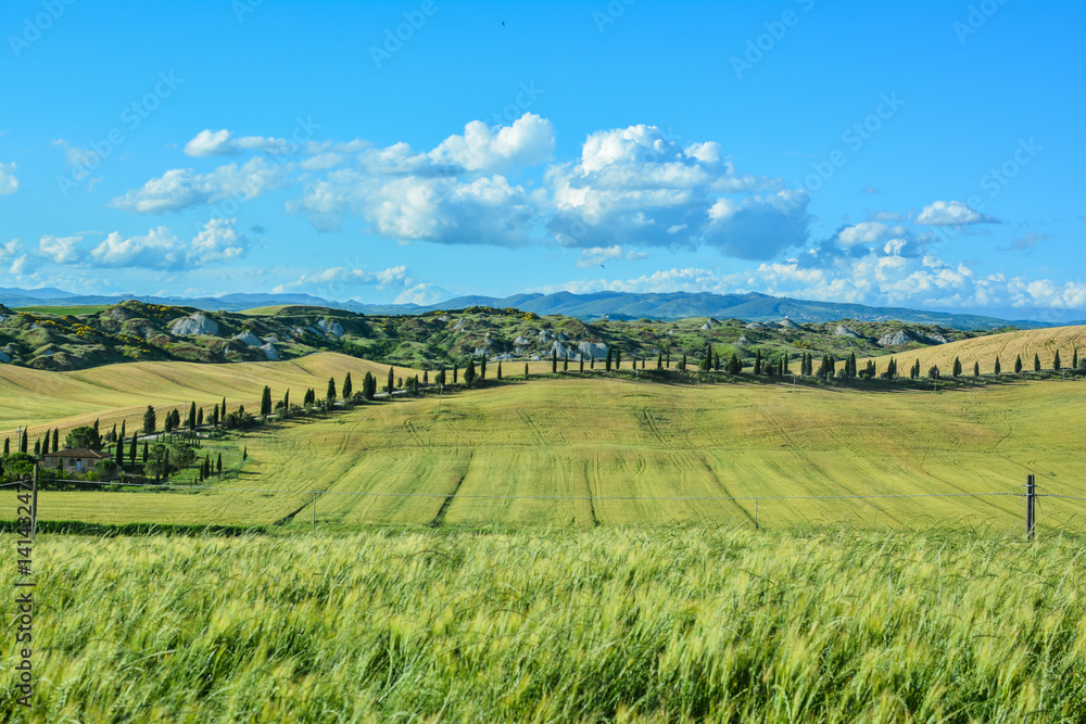 scenic views of the hills of Siena in Tuscany Italy, in spring