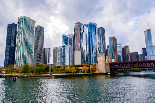 panoramic view of the city of Chicago in Illinois United States in autumn © DD25