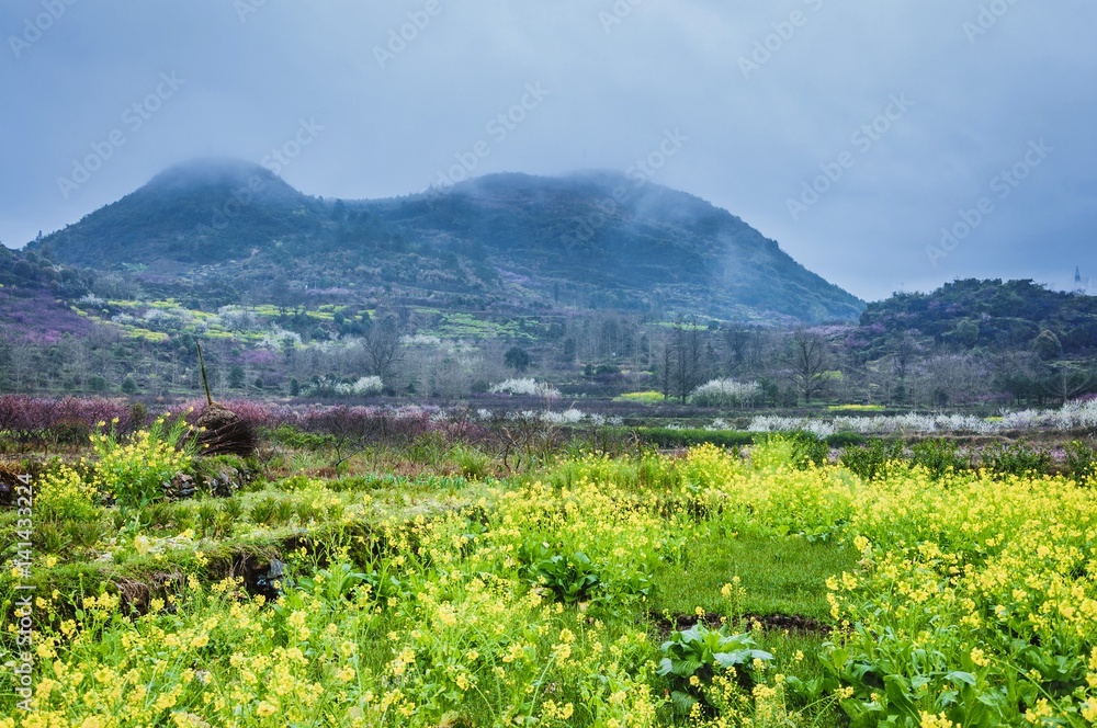 The colorful countryside scenery in the mist