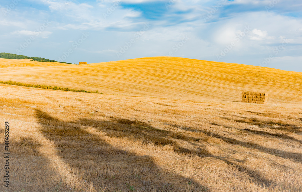 Fototapeta premium panorama of the Tuscan land in Italy