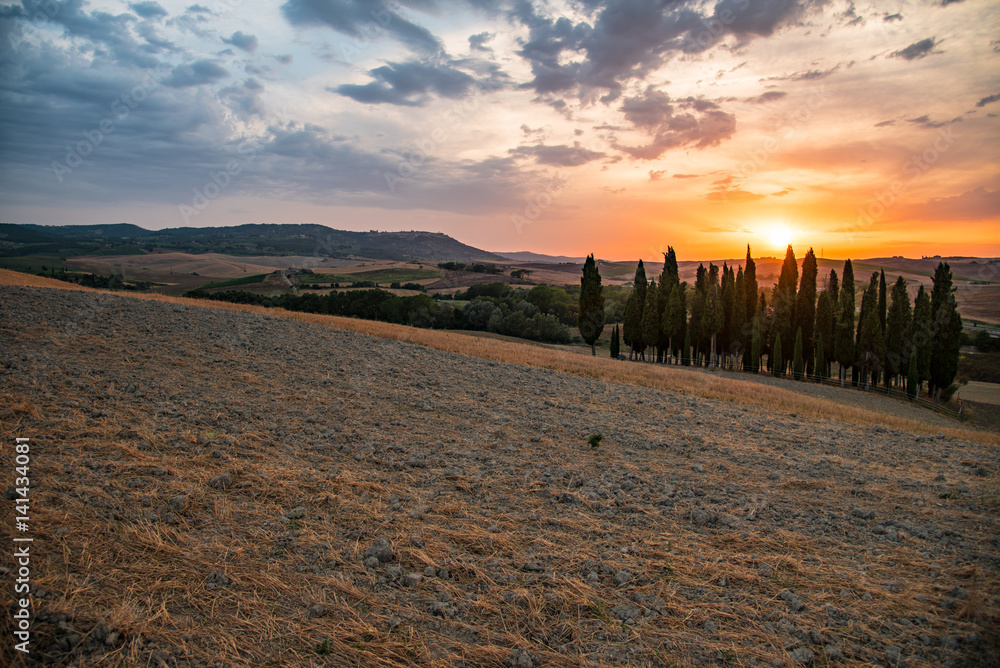 Fototapeta premium panorama of the Tuscan land in Italy