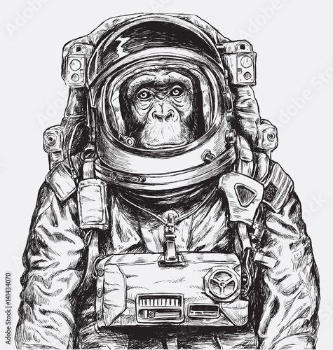 Naklejka Ręcznie rysowane małpa astronauta wektor