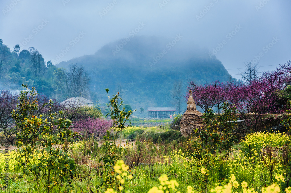 The colorful countryside scenery in the mist