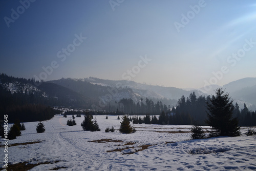 Fototapeta Naklejka Na Ścianę i Meble -   Winter in the mountains