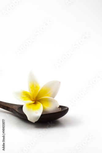 Frangipani in the wooden spoon over the white background