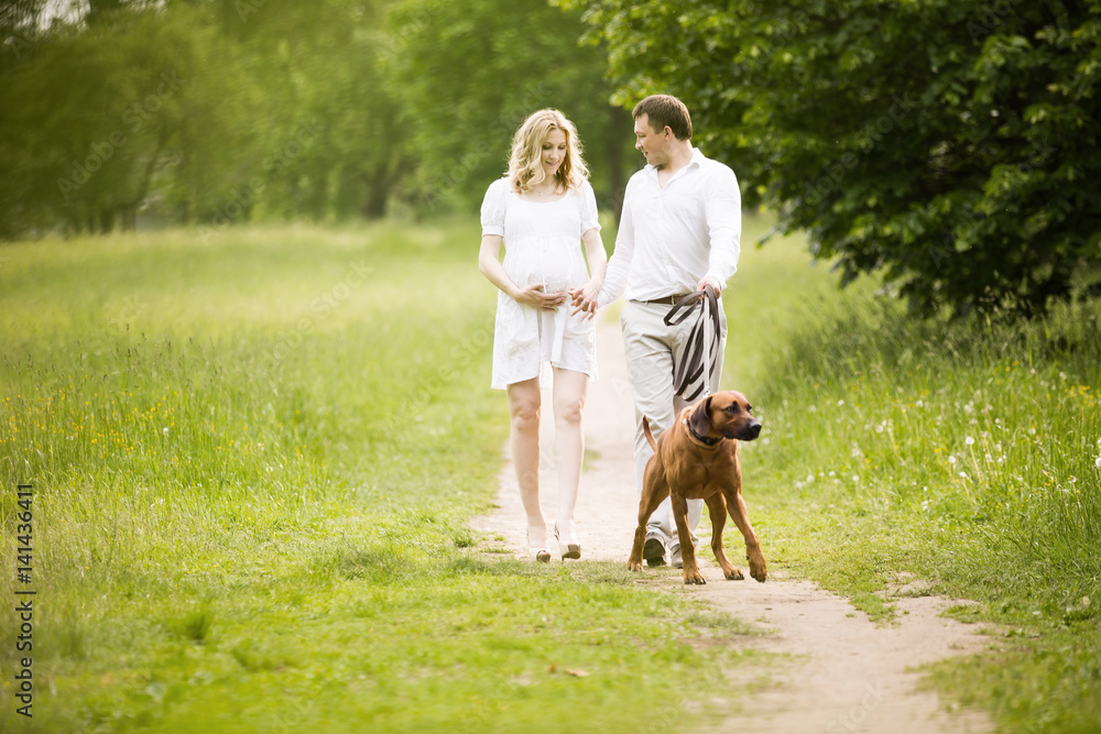 happy couple future parents on the walk with the dog in the Park happy couple future parents on the walk with the dog in the Park