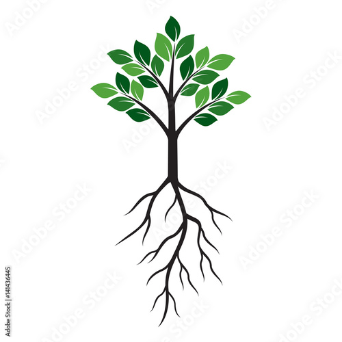 Shape of Green Tree and Roots. Vector Illustration.