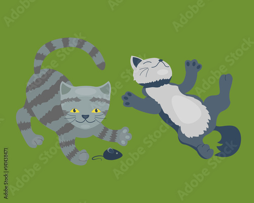 Cat breed cute kitten pet portrait fluffy young adorable cartoon animal and pretty fun play feline sitting mammal domestic kitty vector illustration.