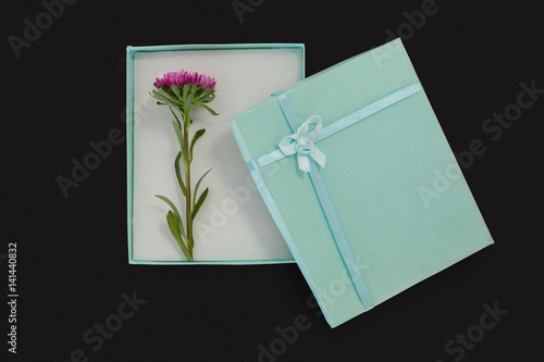 Fototapeta Naklejka Na Ścianę i Meble -  Opened gift box with a flower