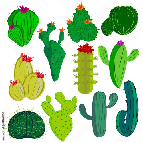 cactus