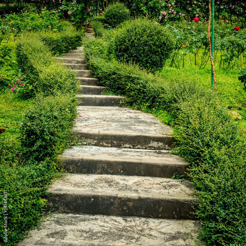 Concrete staircase with green plants Concrete staircase with green plants