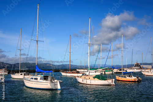 landscape with yachts - destination Wellington, North Island, New Zealand