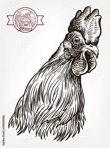 chicken breeding. animal husbandry. livestock