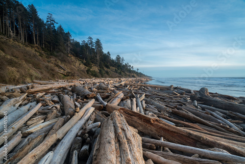 Logs Along The Beach © John