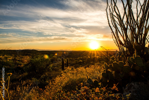 Saguaro NP East, Tucson Arizona
