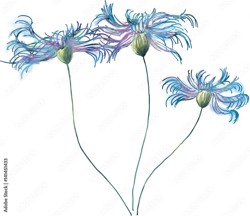 水彩の花 流行りの花柄 背景白素材stock Illustration Adobe Stock