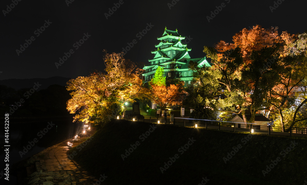 Night scenery of Okayama castle in Okayama, Japan