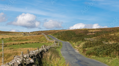 Yorkshire Dales landscape  seen from Hargill Lane  between Castle Bolton and Grinton  North Yorkshire  UK