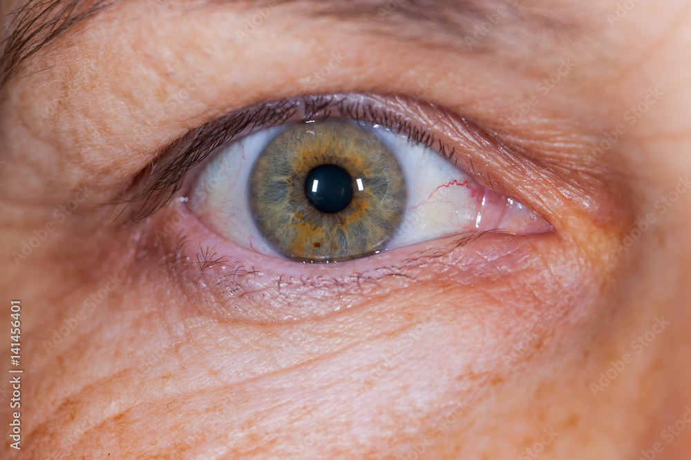 Fototapeta premium Elderly female's green eye